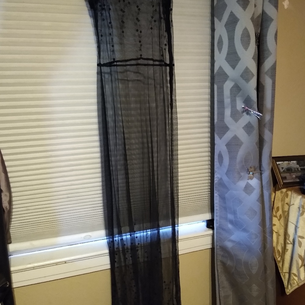 Betsey Johnson Sheer Dress